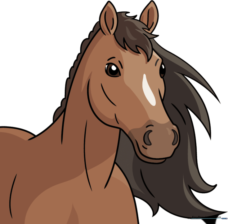 How to Draw a Horse Head