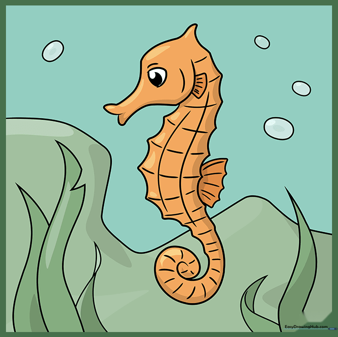 A Seahorse