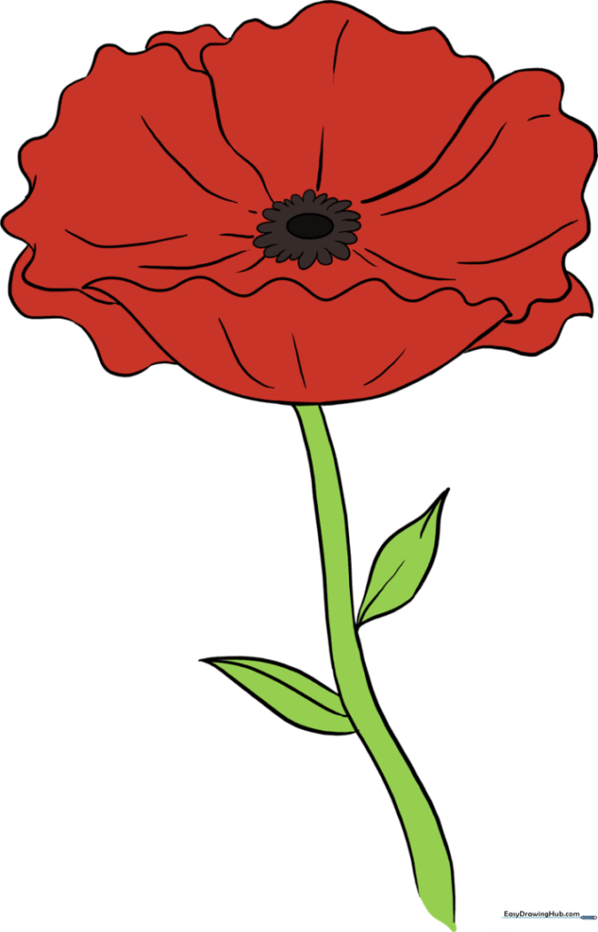 A Poppy