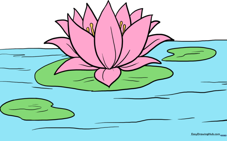 Lotus Flower