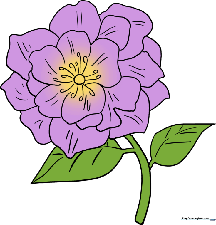 Peony