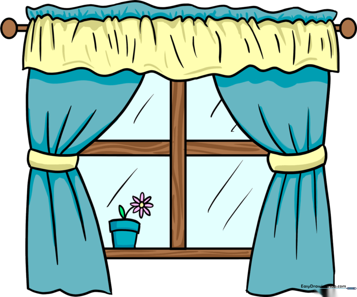 Window
