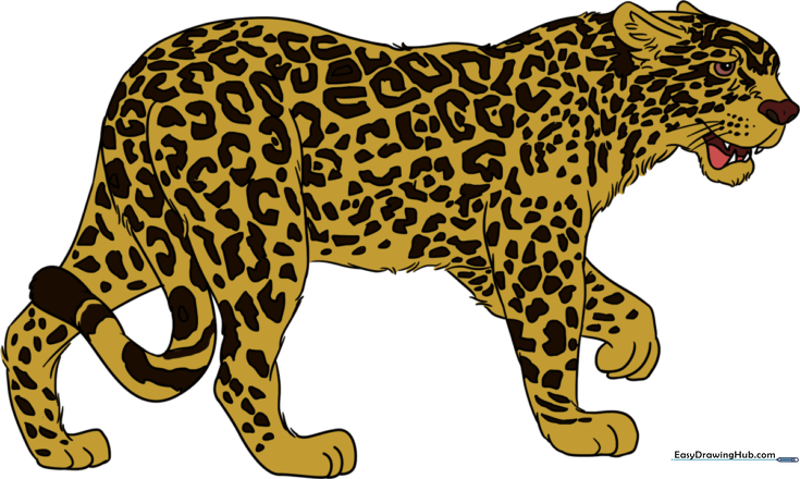 How to Draw a Jaguar