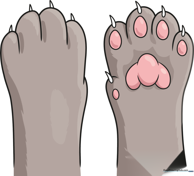 Cat Paw Detail