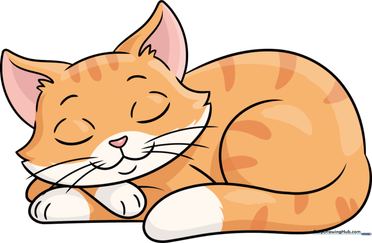 Sleeping Cat