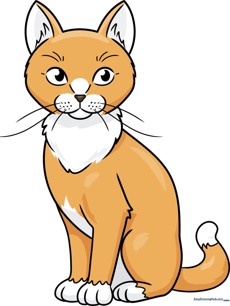 Alert Sitting Cat