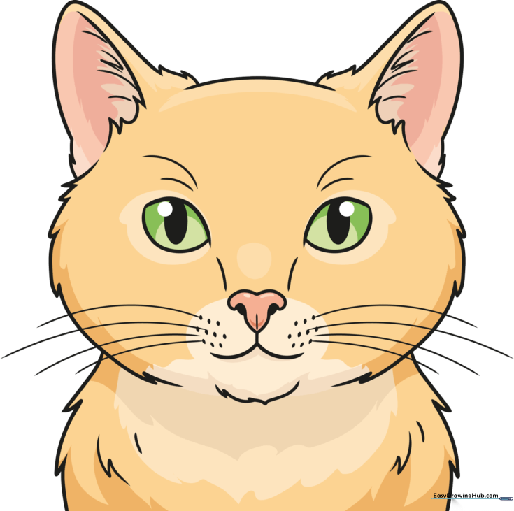 Realistic Cat Face