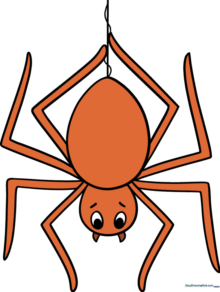 Cute Cartoon Spider
