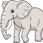 47 Easy Safari Animal Drawing Tutorials for Kids