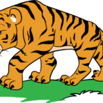 47 Easy Safari Animal Drawing Tutorials for Kids