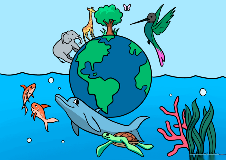 Biodiversity Globe