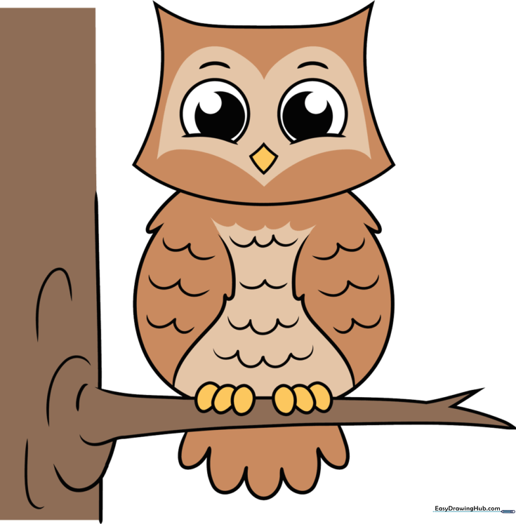 How to Draw a Cartoon Owl