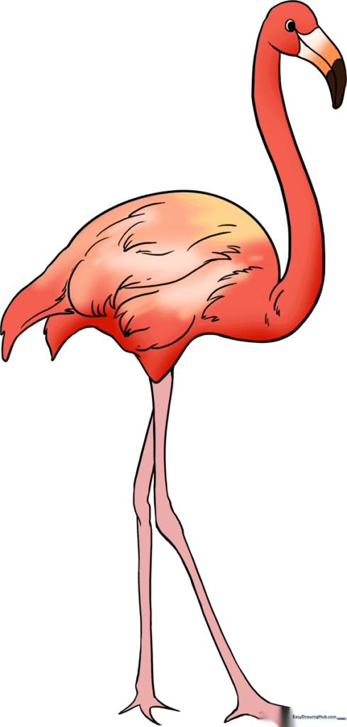 How to Draw a Flamingo