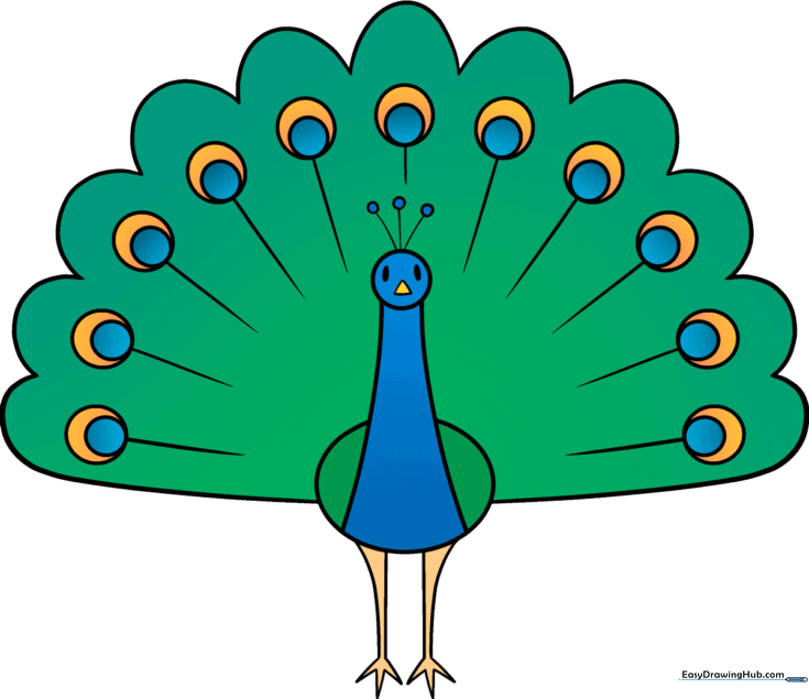 How to Draw a Peacock
