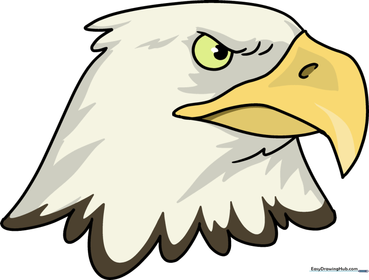 How to Draw an Eagle Head