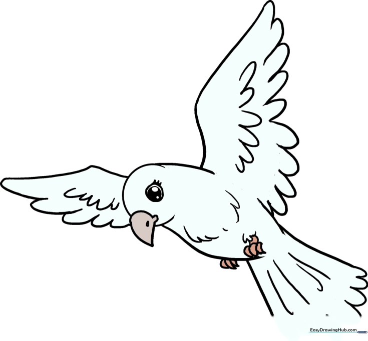 How to Draw a Simple Bird