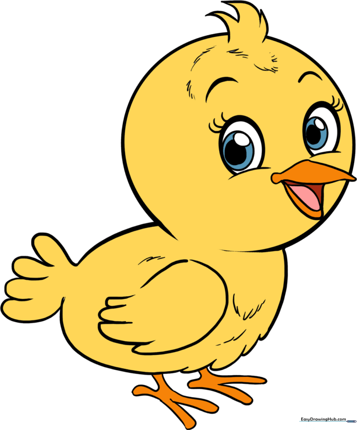 How to Draw a Baby Bird