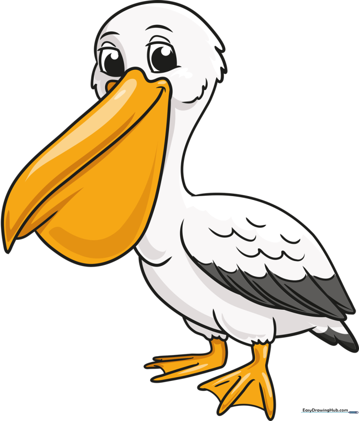 How to Draw a Pelican