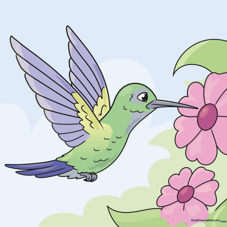 How to Draw a Hummingbird