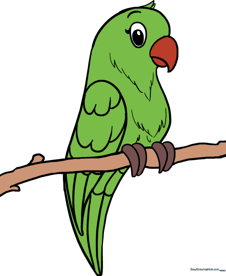 How to Draw a Parrot