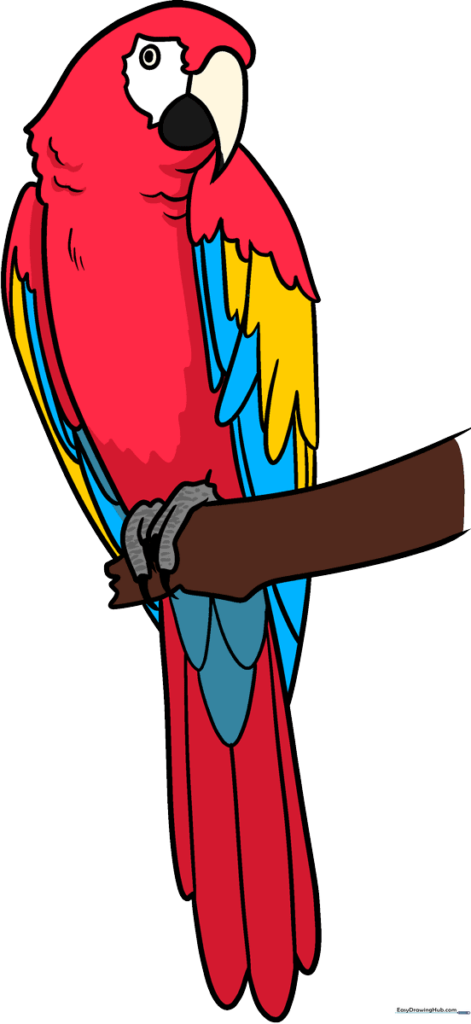 Scarlet Macaw