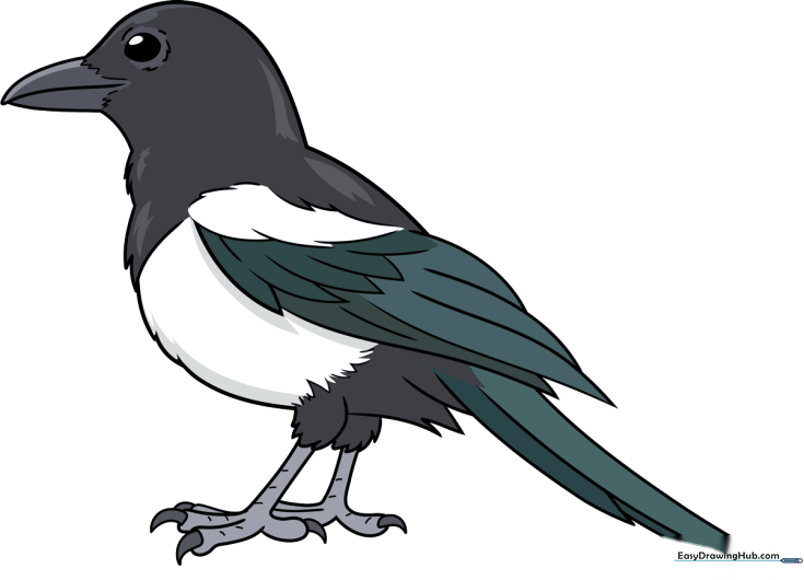 Magpie