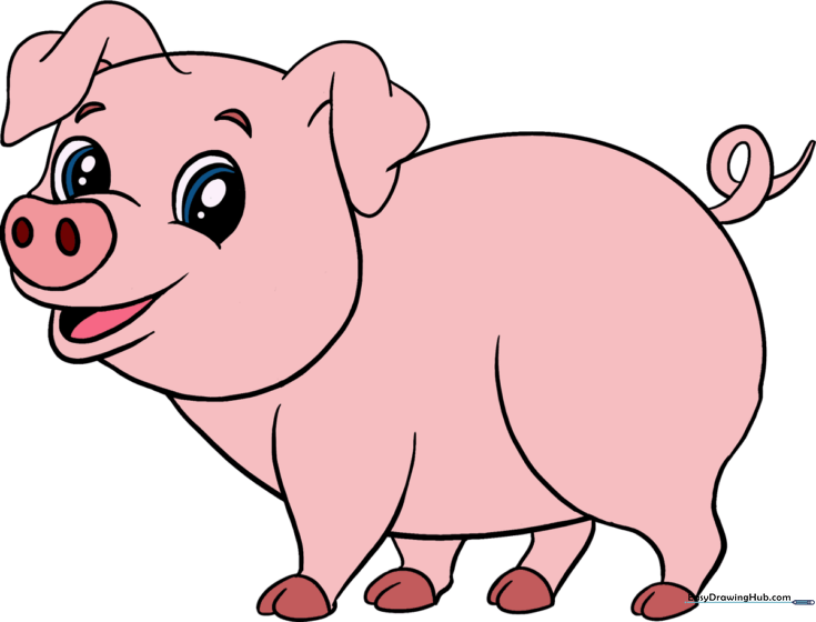 How to Draw a Cartoon Pig