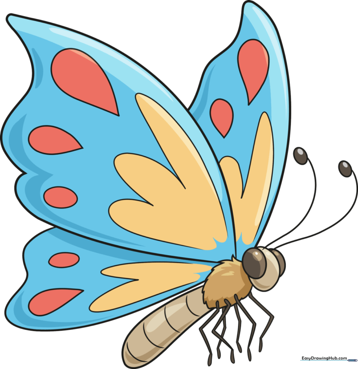 How to Draw a Cartoon Butterfly