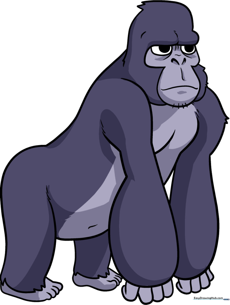 How to Draw a Cartoon Gorilla