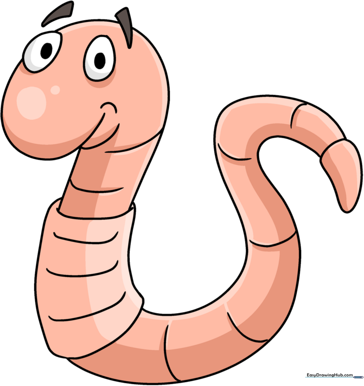 How to Draw a Worm