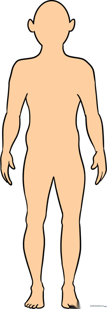 How to Draw a Body Outline