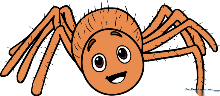 How to Draw a Cartoon Spider