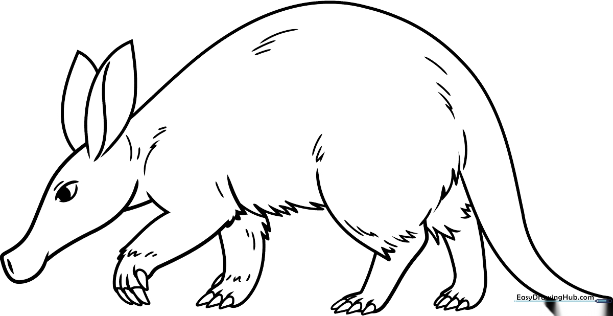 Black and white line art of a cute cartoon aardvark with a long snout and large ears, ready for coloring.