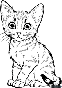 Line art illustration of a cute Abyssinian kitten with large ears and expressive eyes, designed for children to color.