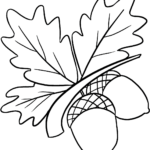 Black and white line art of two acorns with textured caps, designed for children to color with markers or crayons.
