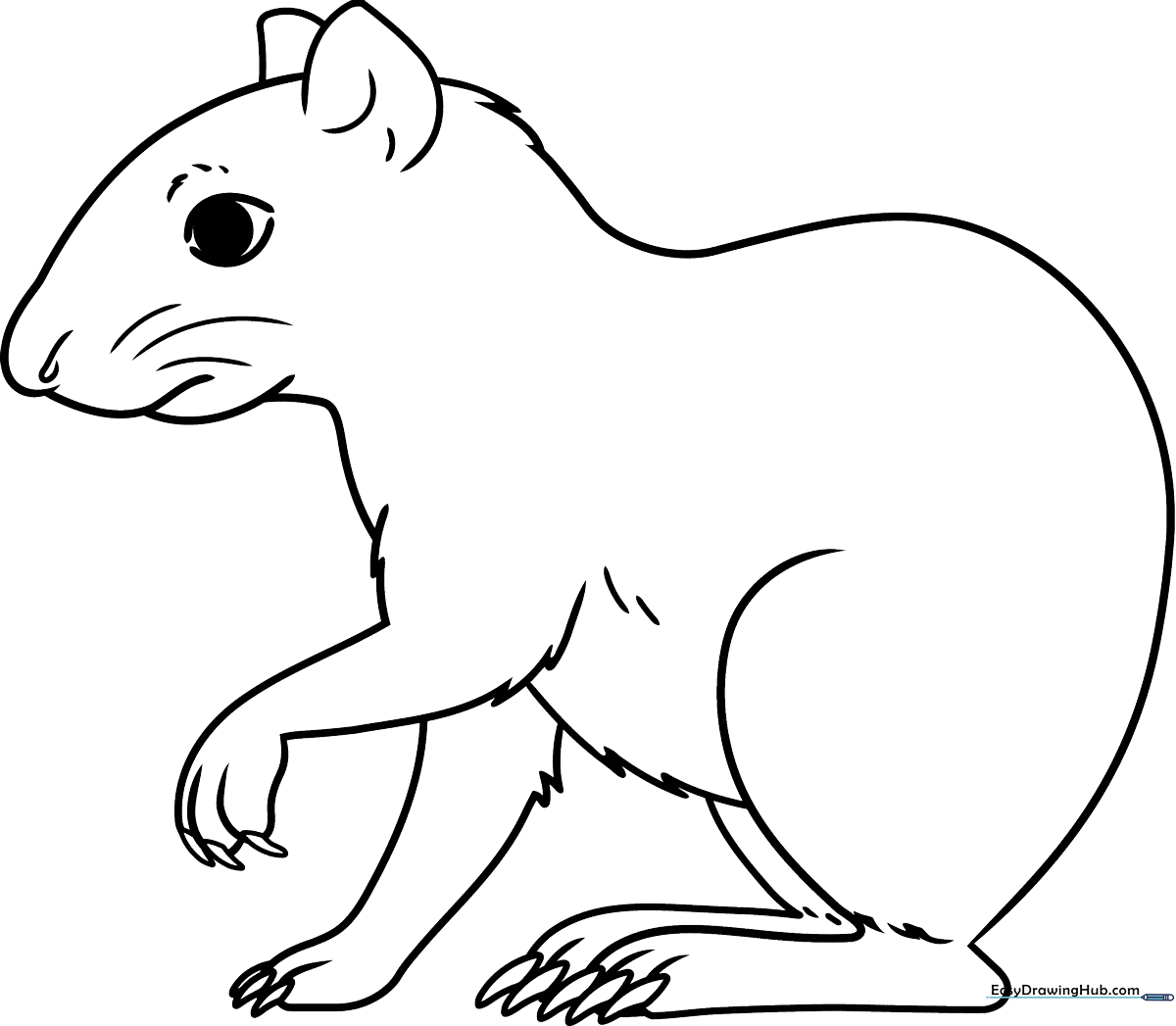A clean, black-and-white line art illustration of a cute Agouti standing on all fours, featuring clear outlines for easy coloring by children.