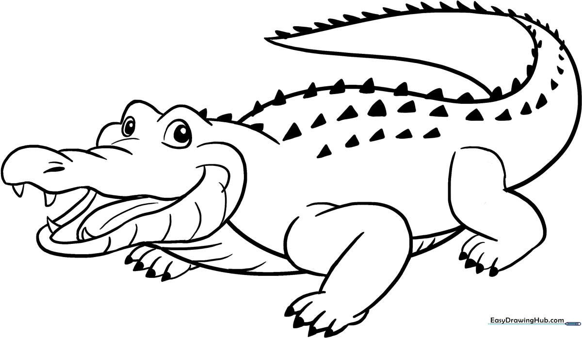 A friendly, simple alligator illustration with clear outlines for children to color, featuring a wide snout and textured back scales.