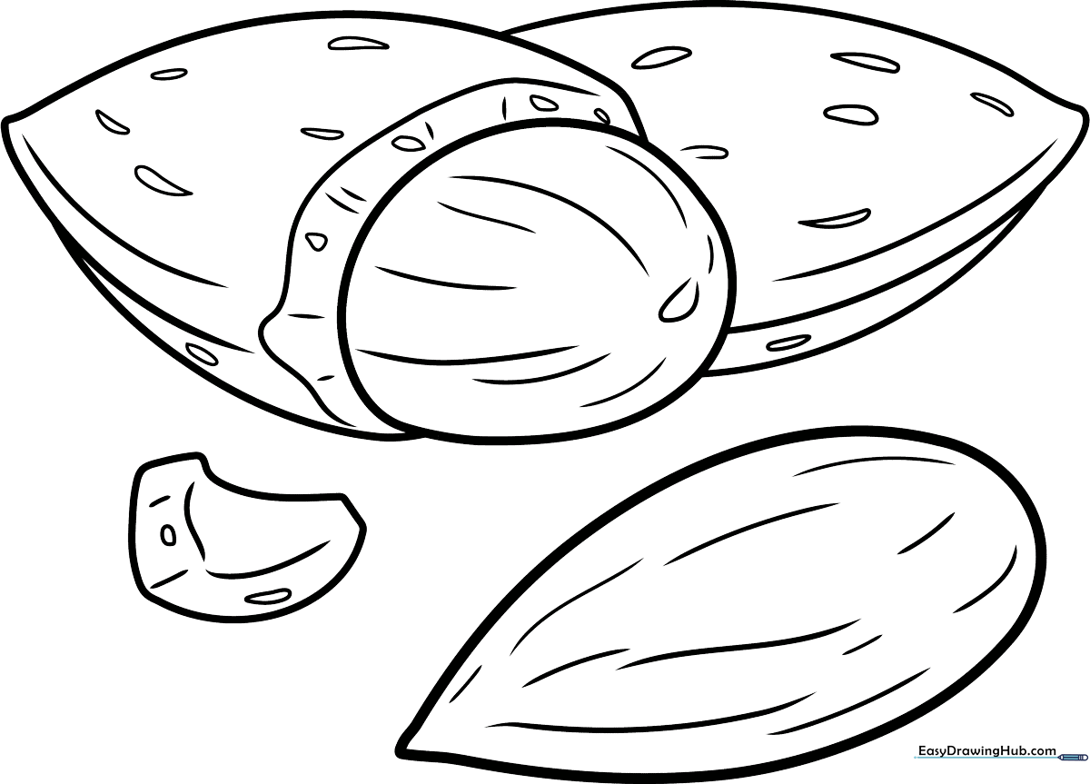 A clean, black-and-white line art illustration of a single almond with a textured shell, designed for children to color.