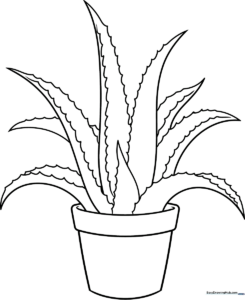 Black and white line art of an Aloe Vera plant in a pot, featuring thick, serrated leaves for children to color.