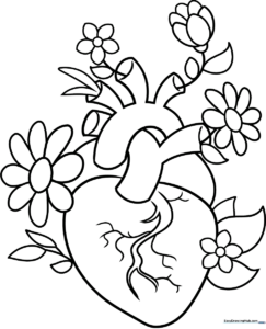 Black and white line art of a realistic anatomical heart intertwined with delicate floral blooms, designed for educational coloring practice.
