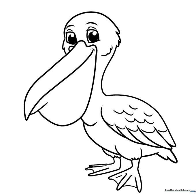 Pelican Coloring Sheet