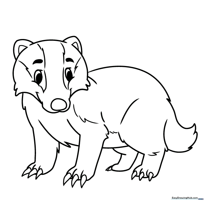 Badger Coloring Sheet