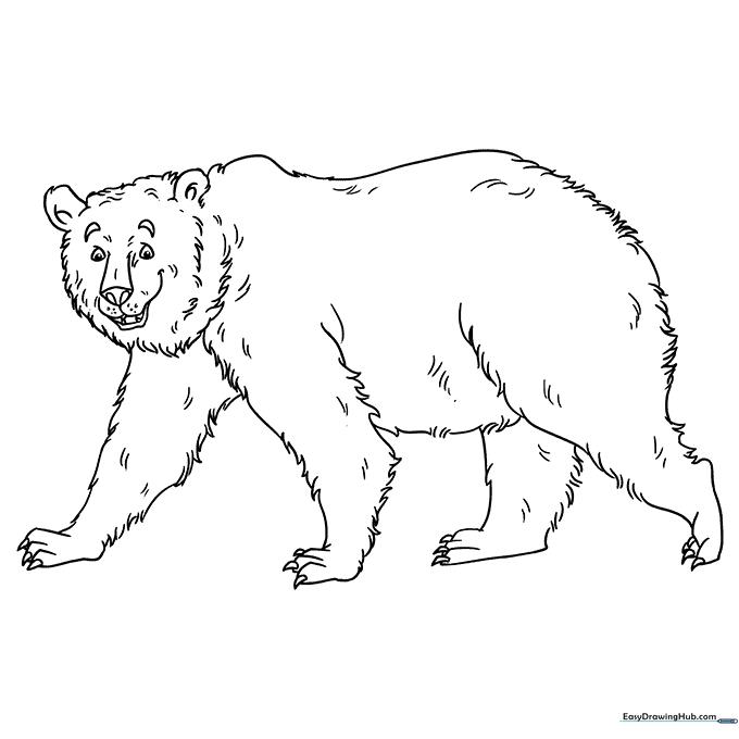 Grizzly Bear Coloring Sheet