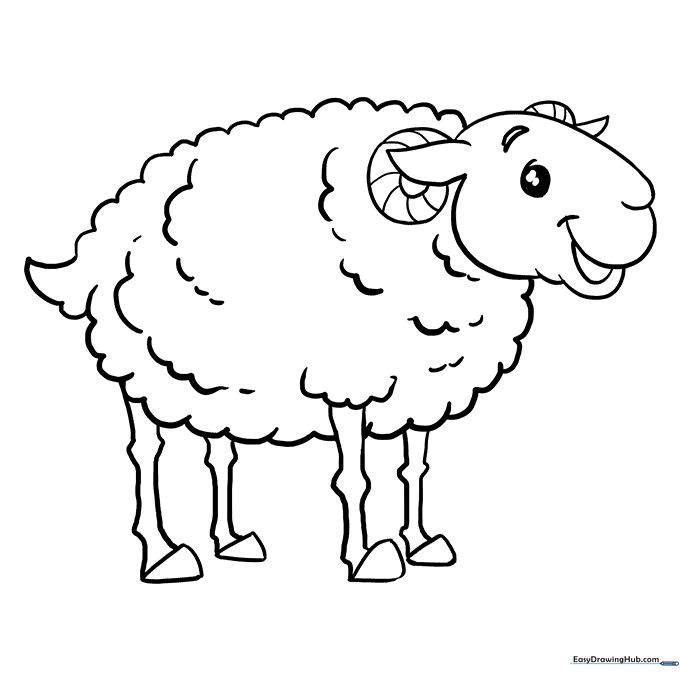 Sheep Coloring Sheet