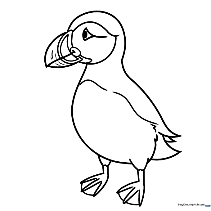 Puffin Coloring Sheet