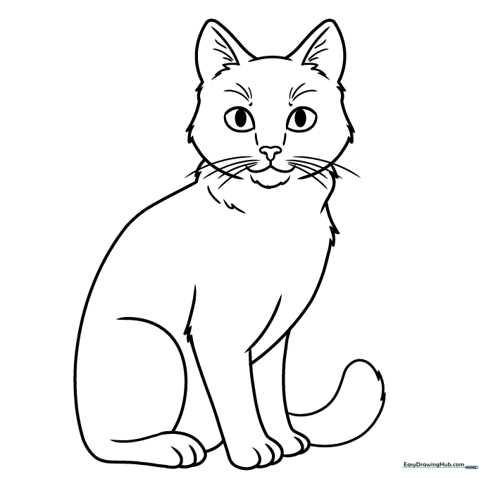 Realistic Cat Coloring Sheet