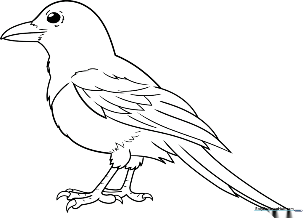 Magpie Coloring Sheet