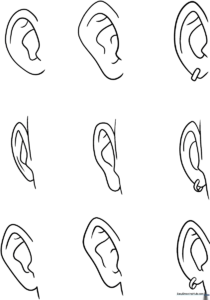 Black and white line art of pointed anime-style ears, featuring clear outlines for easy coloring and shading practice.