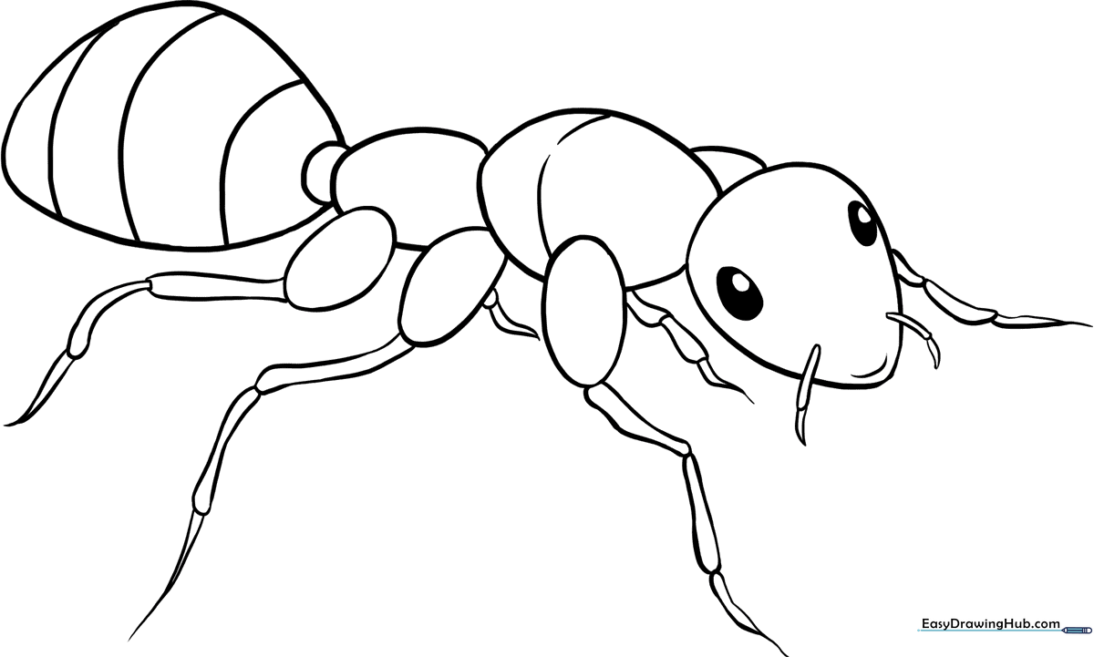 Black and white line art of a friendly ant with six legs and antennae, designed for children to color.