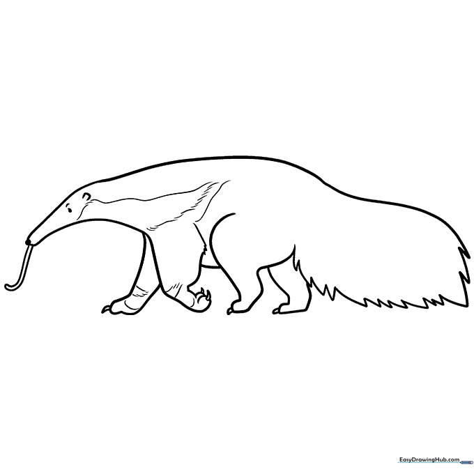 Black and white line art of a friendly cartoon anteater with a long snout and bushy tail, ready for children to color.